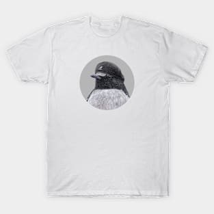 Mourning wheatear T-Shirt